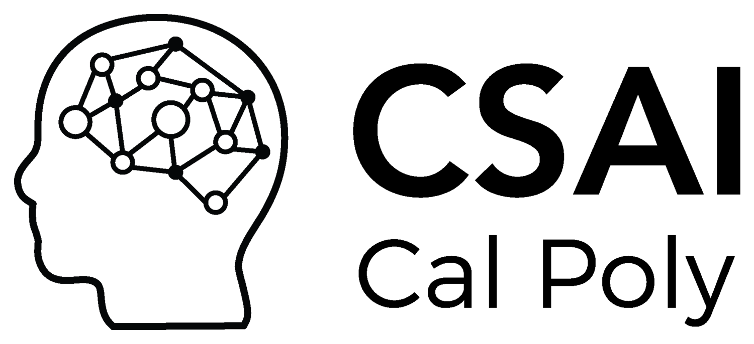 CSAI Logo